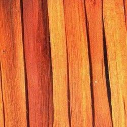 Sapanwood